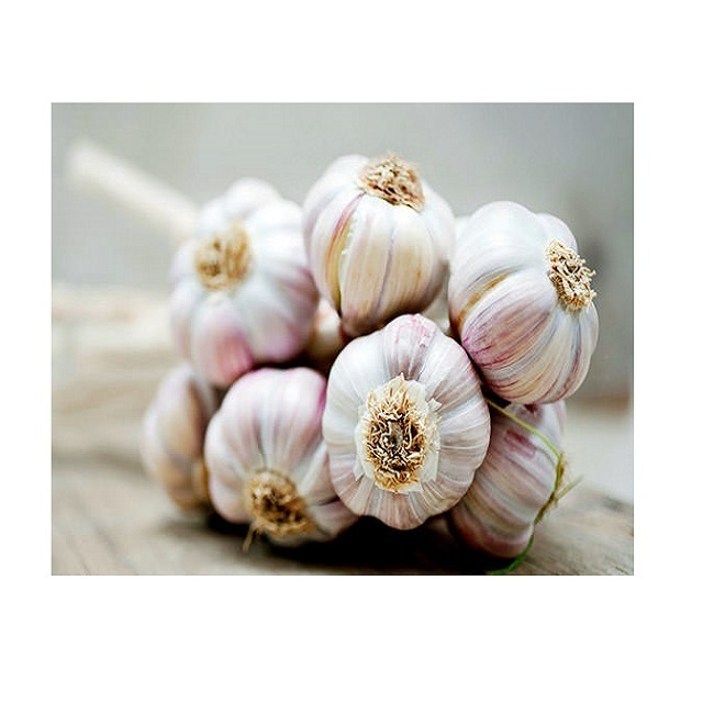 FREE TAX - BIG SALE Vietnam white fresh garlic  - Wholesale for peeled garlic / solo garlic export to China, EU, USA, Korea