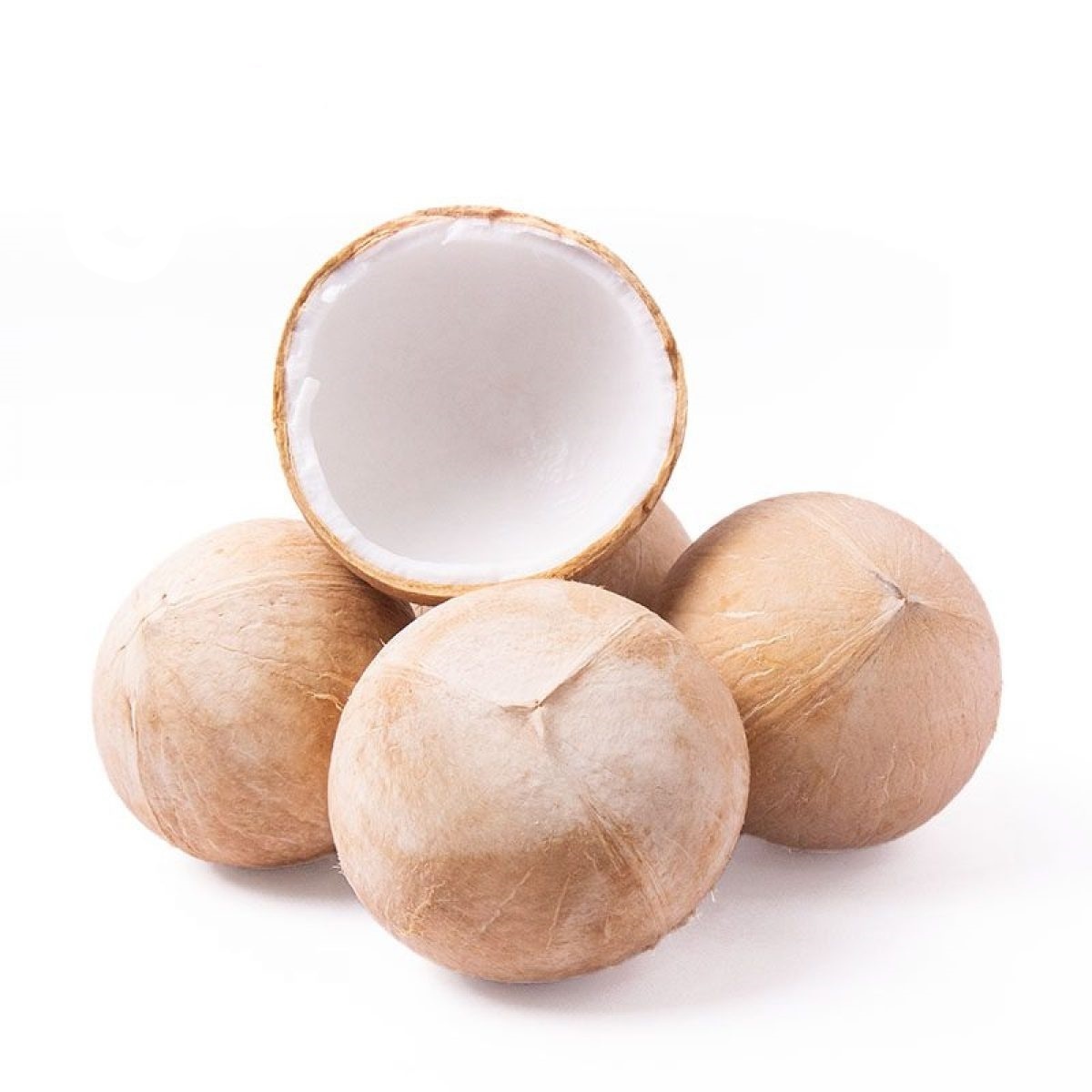 HOT SALE 2023 FRESH COCONUT_FROZEN SIAMESE COCONUT FROM VIETNAM