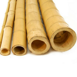 Best Selling Wholesale Straight Bamboo Cane Stake Bamboo Pole At factory price Strong Bamboo Poles From Vietnam Free Tax