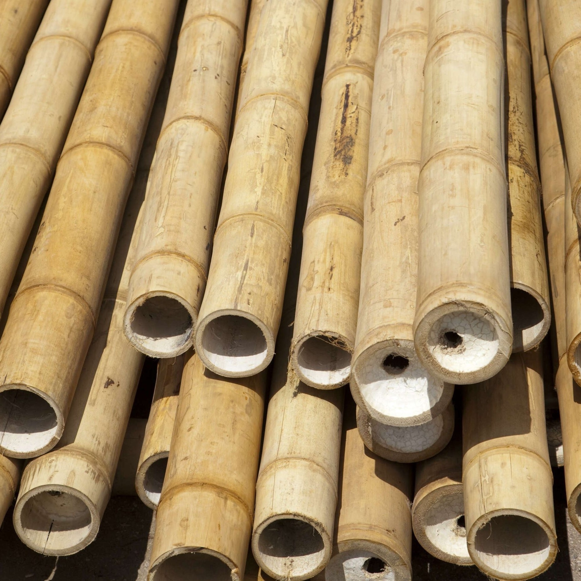 High quality straight decorative bamboo poles, bamboo canes