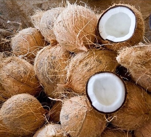 VIetnam coconut export worldwide -  Free Tax - Fresh young coconut with Full Husked - Green coconut at cheap price