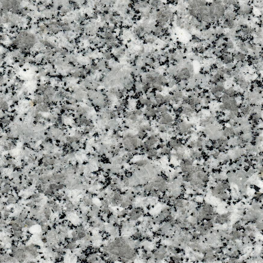 Light Grey Granite G603 Granite Slab / Block / Stone Wholesale Good Price From Vietnam Export Low Tax