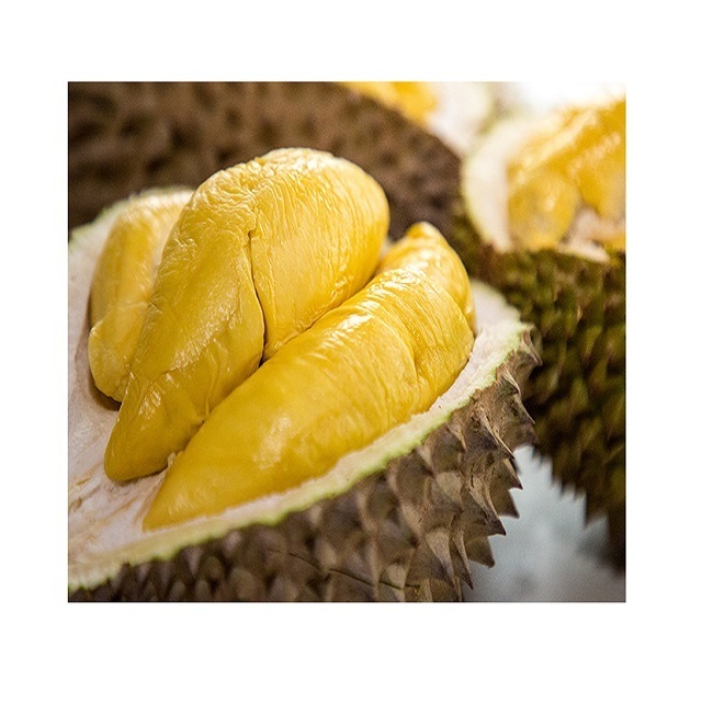 High quality frozen durian/durian puree export to EU, USA Hot Selling Vietnam fresh king durian fruit for sale