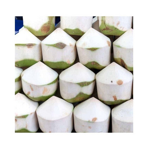 VIetnam coconut export worldwide -  Free Tax - Fresh young coconut with Full Husked - Green coconut at cheap price