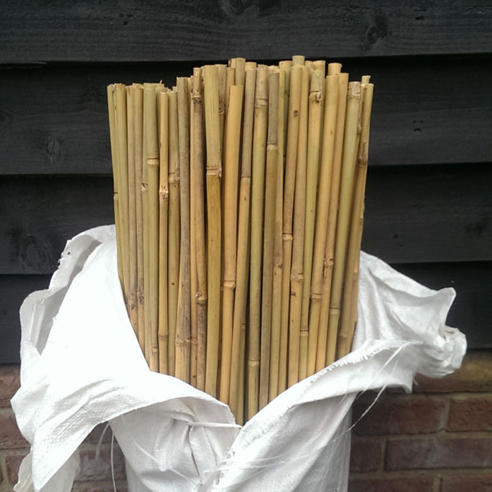 Best Selling Wholesale Straight Bamboo Cane Stake Bamboo Pole At factory price Strong Bamboo Poles From Vietnam Free Tax