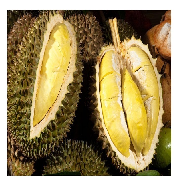 High quality durian from Vietnam - Wholesale for durian powder, frozen durian, durian fresh and dried durian export to EU, USA