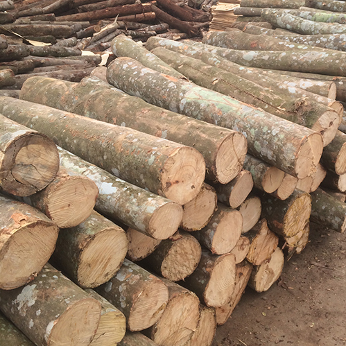 Best choice Vietnam Acacia sawn timber/lumber/best price/best quality for making pallets or furniture