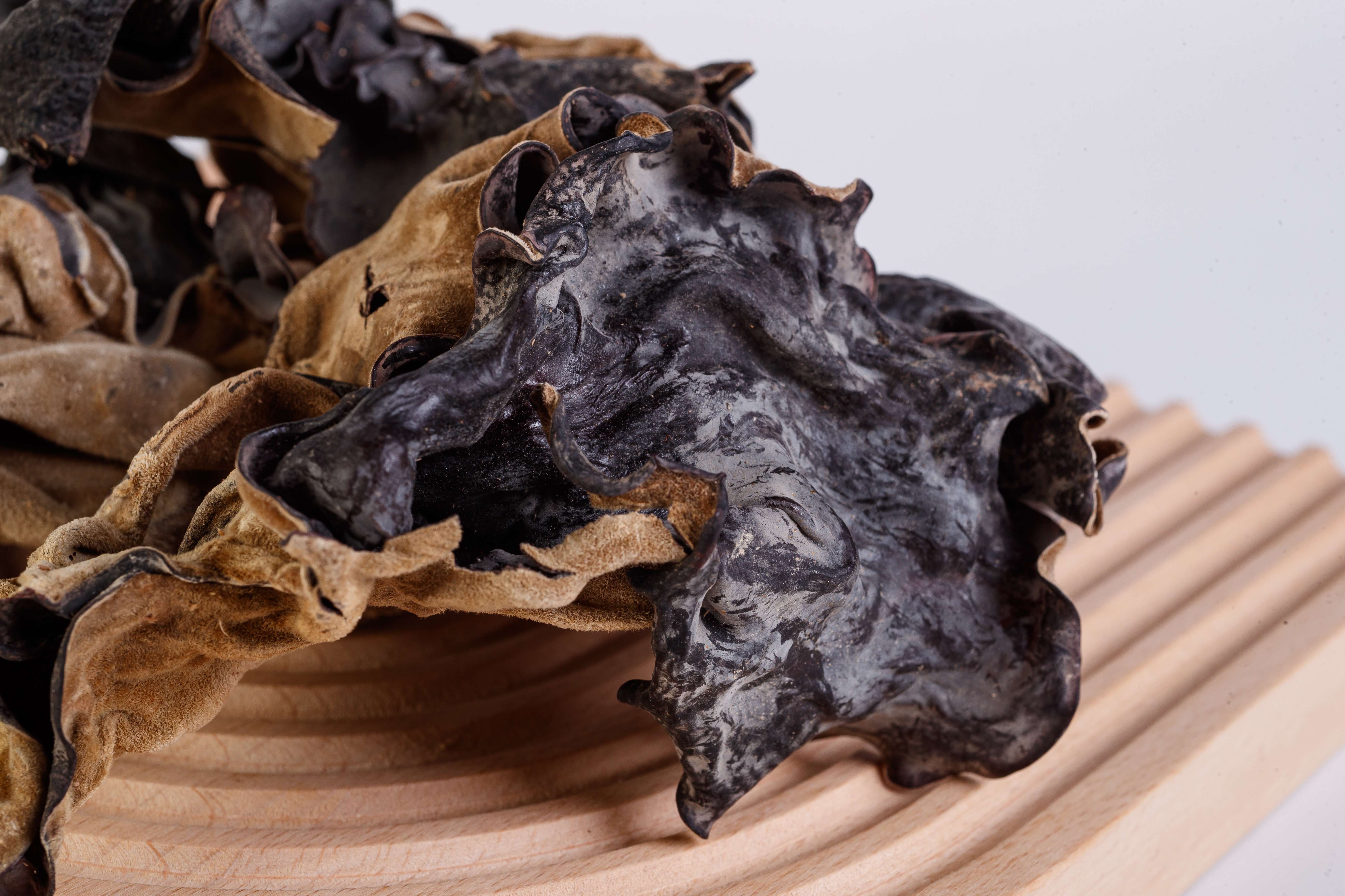 New Vietnam High Quality Fresh Dried tree ear MUSHROOMS dried black fungus mushroom dried black fungus small black wood ear agar