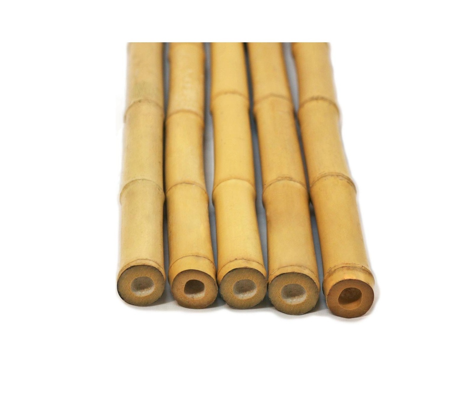 BAMBOO POLES FROM VIETNAM