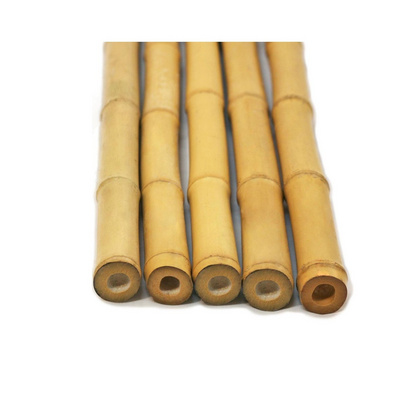 BAMBOO POLES FROM VIETNAM