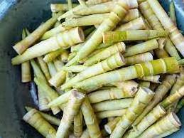 Fermented Bamboo Shoots Fresh Crop Canned Bamboo Shoot Strips with Low Price Akina