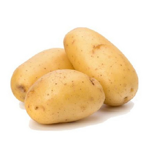 2018 High quality fresh potato suppliers in Vietnam 2020/Whatsapp +84 845 639 639