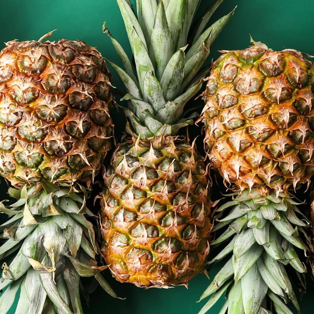 Pineapple in tin/canned pineapple (tidbits/cubes/crushed/slices pineapple)