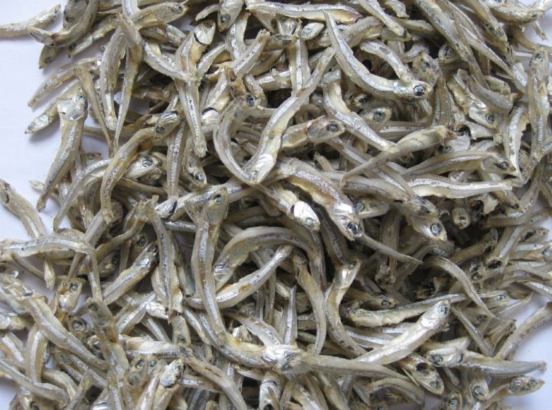 Vietnam No Preservatives Dried Anchovy - Dried Small Sprat - Ms. Esther (WhatsApp: +84 963590549).