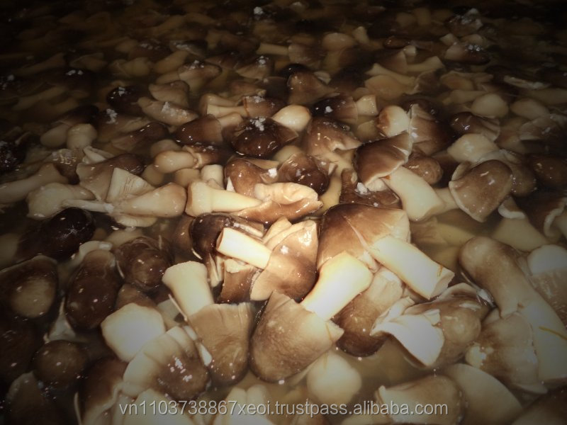 LOW PRICE DRUM STRAW MUSHROOM IN BRINE - Ms. Esther (WhatsApp: +84 963590549)