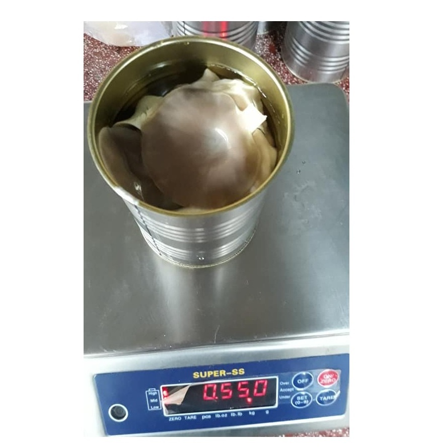 Factory Supply Canned Oyster/ Abalone Mushroom (pleurotus ostreatus) Product of Vietnam// Ms. Esther (WhatsApp: +84 963590549)