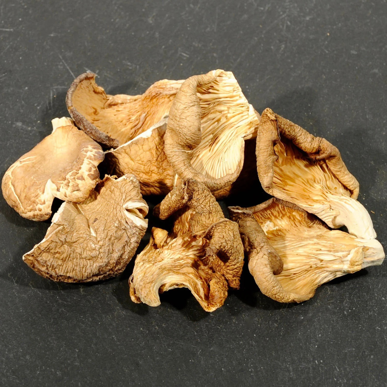 High Quality Raw Dried Oyster Mushrooms 100% Natural Wild-Picked from VIET DELTA Best Price WhatsApp +84 91 850 9071