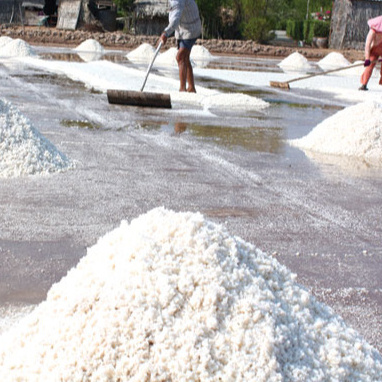 Export Natural Sea Salt from Vietnam whatsapp +84 845 639 639