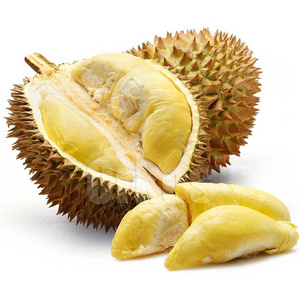 Fast delivery 100% Organic Durian Meat From Vietnam Hot Selling High Quality For exporting