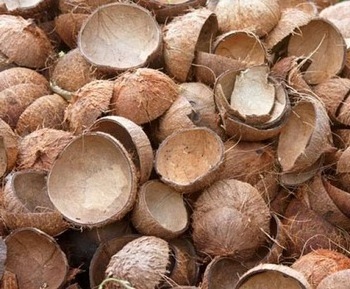 VIET NAM COCONUT SHELL VERY CHEAP PRICE ( +84988332914)