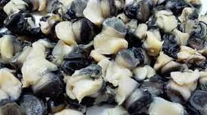 FROZEN SNAIL/FRESH EDIBLE SNAILS/ GOLDEN SNAILS 2020/Whatsapp +84 845 639 639