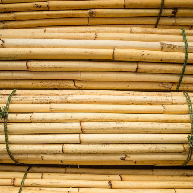 wholesale rattan cane/rattan cane materials/raw rattan pole cheap price for weaving Holiday