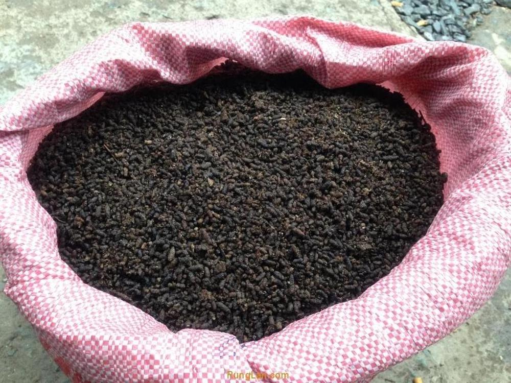 BAT FERTILIZER 100% NATURAL (Whatsapp: +84 845 639 639) in 2020