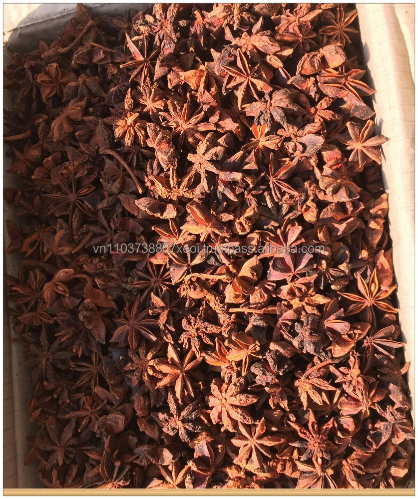 Star Anise Powder/Illicium Verum/ Cinco Especias Chinas 2020/Whatsapp +84 845639639