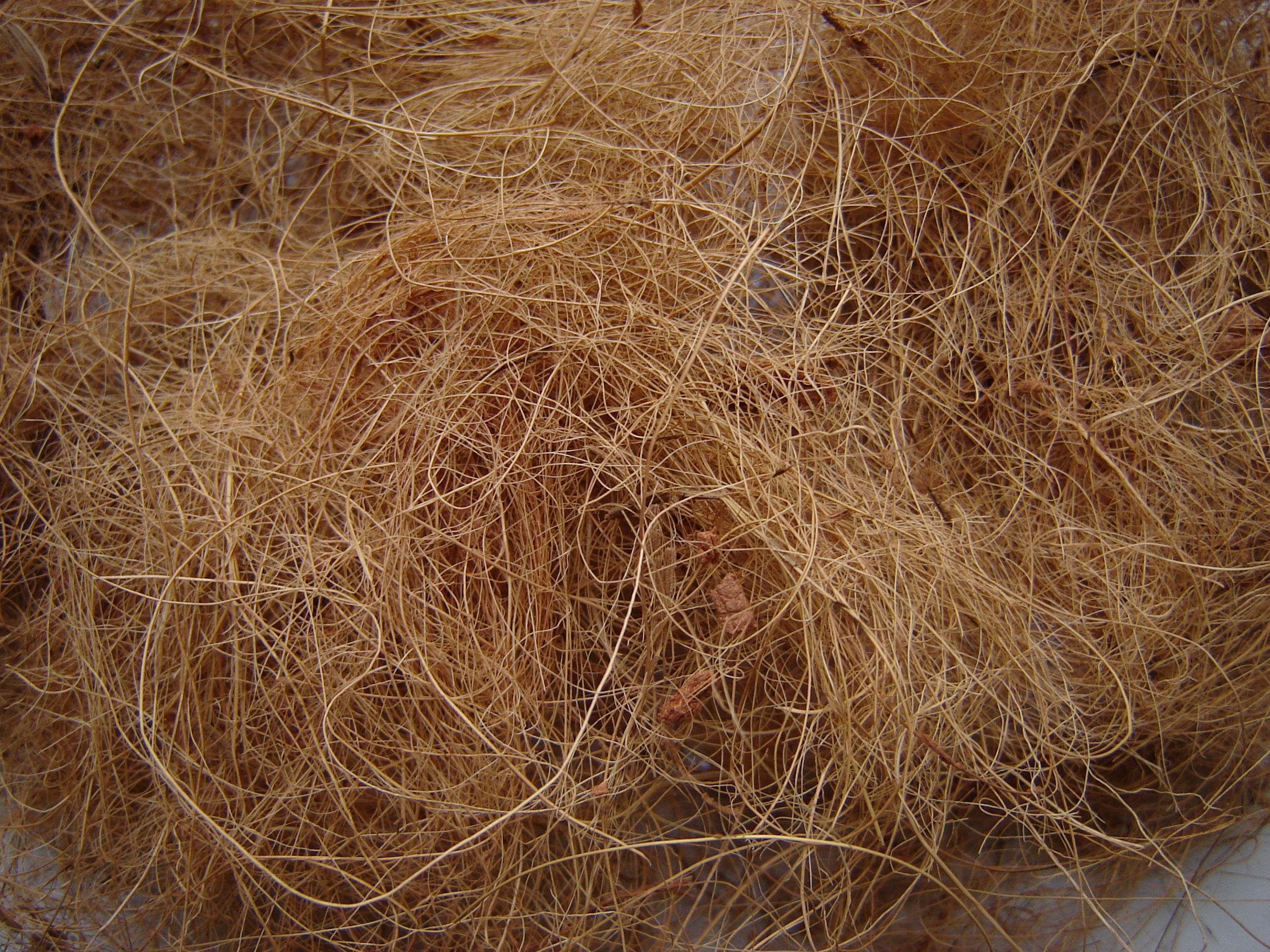 Coco Fiber/ Coir fiber bales from in Viet Nam//Ms. Esther (WhatsApp: +84-963-590-549)