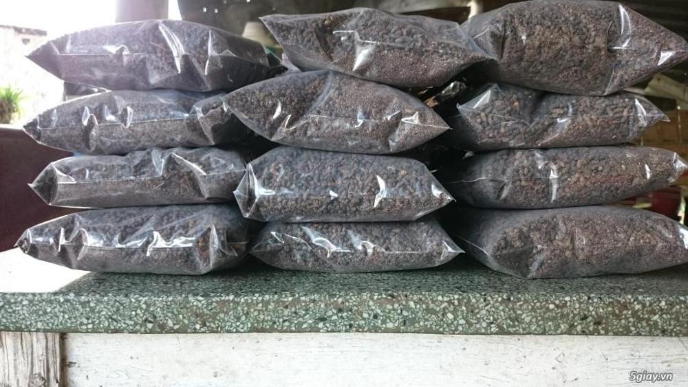 WHOLESALE NATURAL BAT FERTILIZER IN BULK  Ms Holiday +84 845 639 639