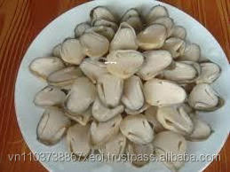 LOW PRICE DRUM STRAW MUSHROOM IN BRINE - Ms. Esther (WhatsApp: +84 963590549)