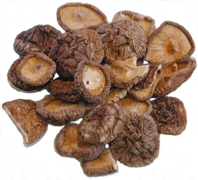 Wholesale Vietnamese Natural Shiitake Mushroom High Quality And Reasonable Price / Neal