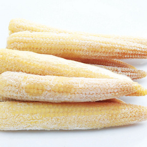 FROZEN JACKFRUIT - FROZEN CORN SOPHIE