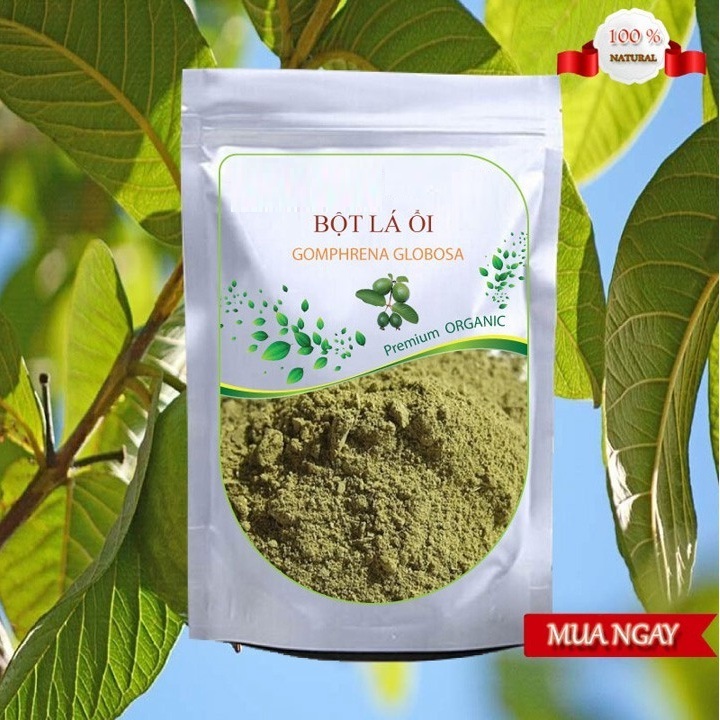 NATURAL GUAVA LEAF POWDER FROM VIETNAM/MS.LAURA +84 896611913