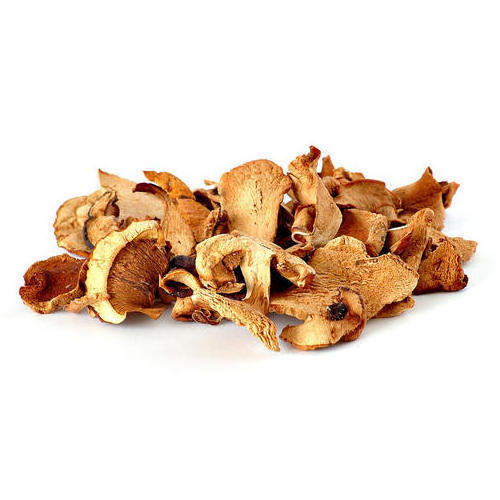 Wholesale Good Price High Quality Dried Abalone Mushroom Dried Oyster Mushroom from Vietnam