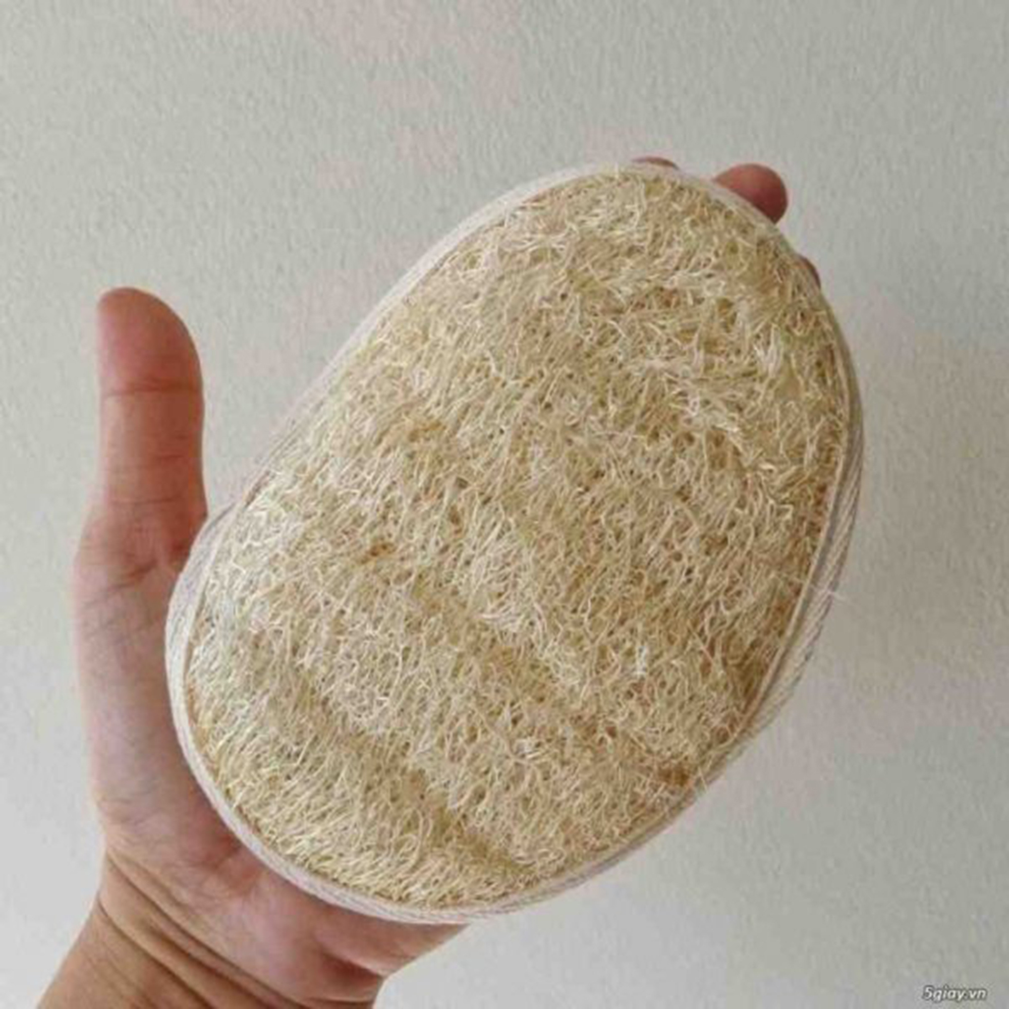 Disposable loofah wholesale / Loofah bath