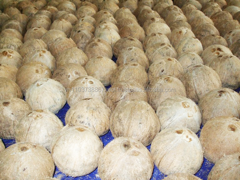 frozen shredded coconut/fresh mature coconut/semi husked mature coconut in 2020