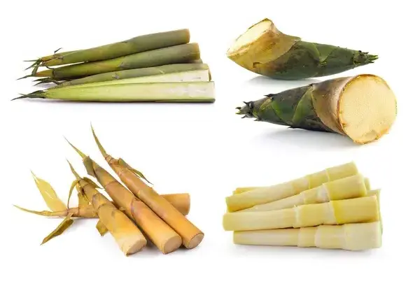 Fermented Bamboo Shoots Fresh Crop Canned Bamboo Shoot Strips with Low Price Akina