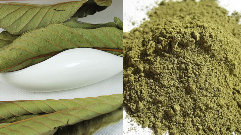 NATURAL GUAVA LEAF POWDER FROM VIETNAM/MS.LAURA +84 896611913