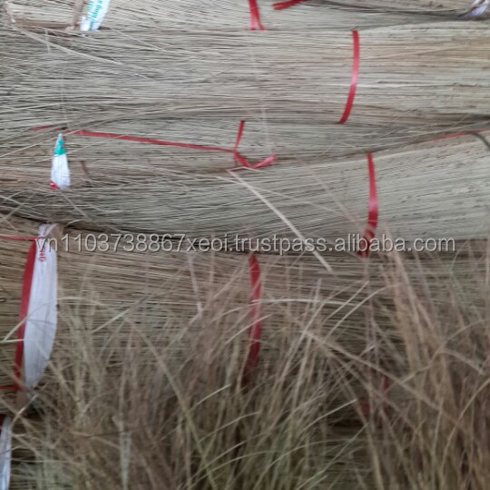 Coconut stick to making broom/ Straw Broom