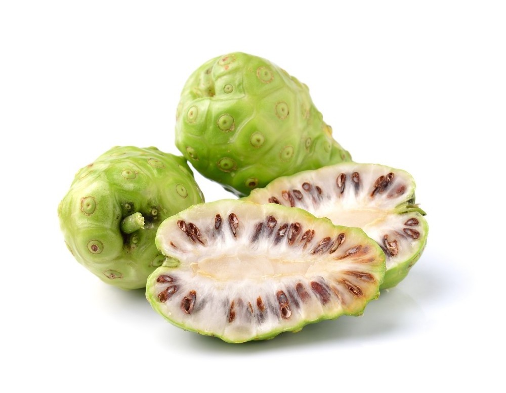 High quality DRIED NONI for sale 2021/ contact to +0084 845639639