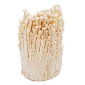 Fresh 100% Mushroom Enoki Vietnam Seller/High quality and best price - Ms. Esther (WhatsApp: +84 963590549)