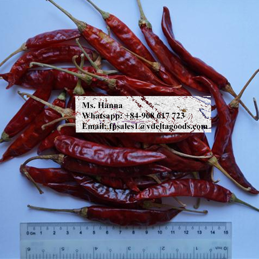 Vietnam red chilli price / Paprika / Dried and fresh type