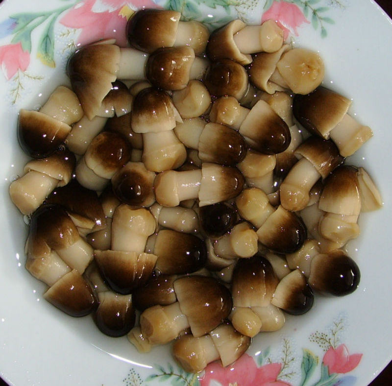 Factory Price Canned Straw Mushroom 430gr/The best choice in Vietnam 2022 - Ms. Esther