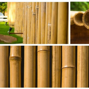 Viet Nam bamboo garden fence - 100% natural (whatsapp +84 845 639 639)