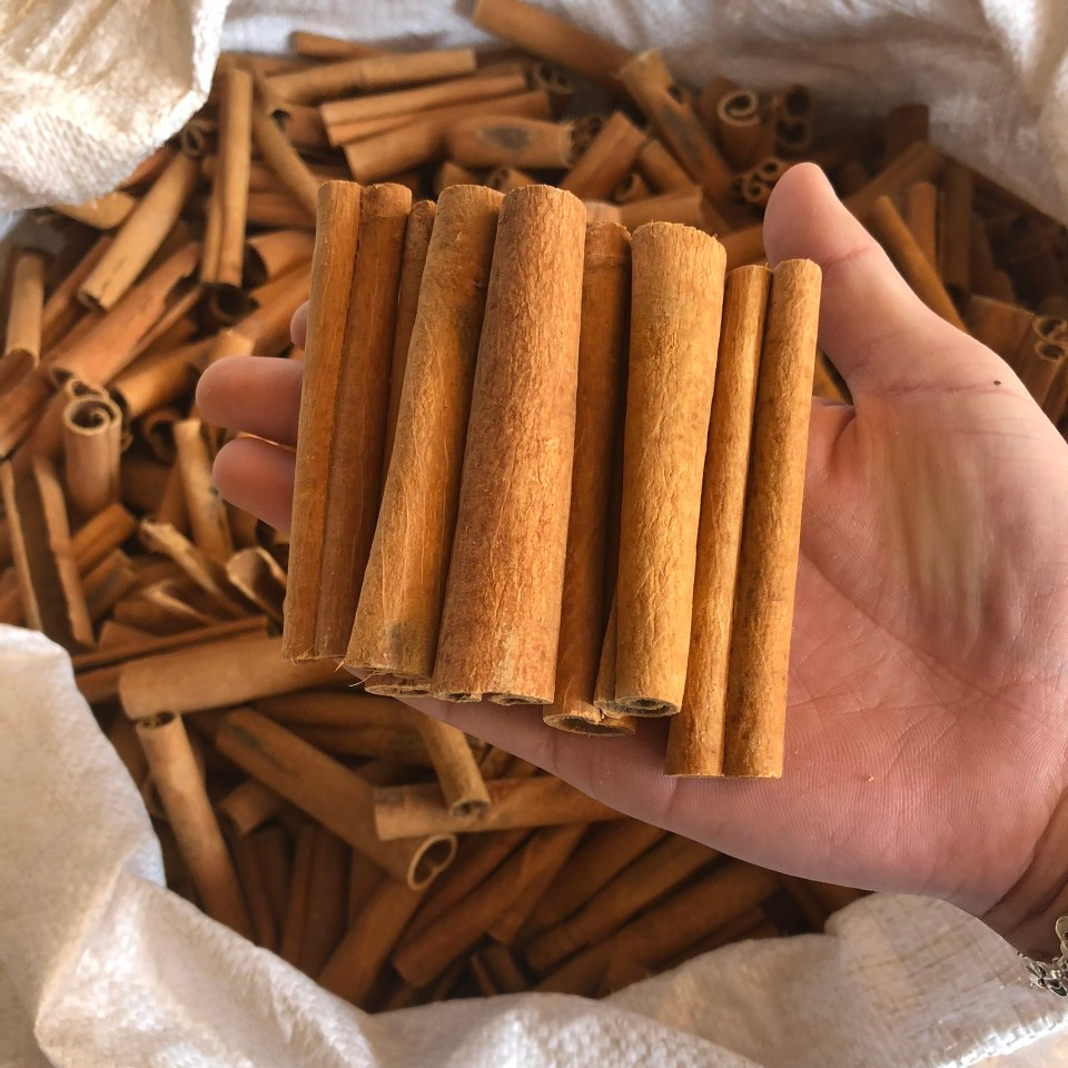 Top best selling CINNAMON STICKS from Vietnam/Ceylon Cinnamon Good Spice with 24 Months Using Large Quantities