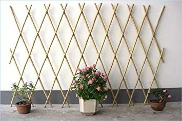 Natural Bamboo Fence with most price and high quality For Garden from Vietnam Supplier