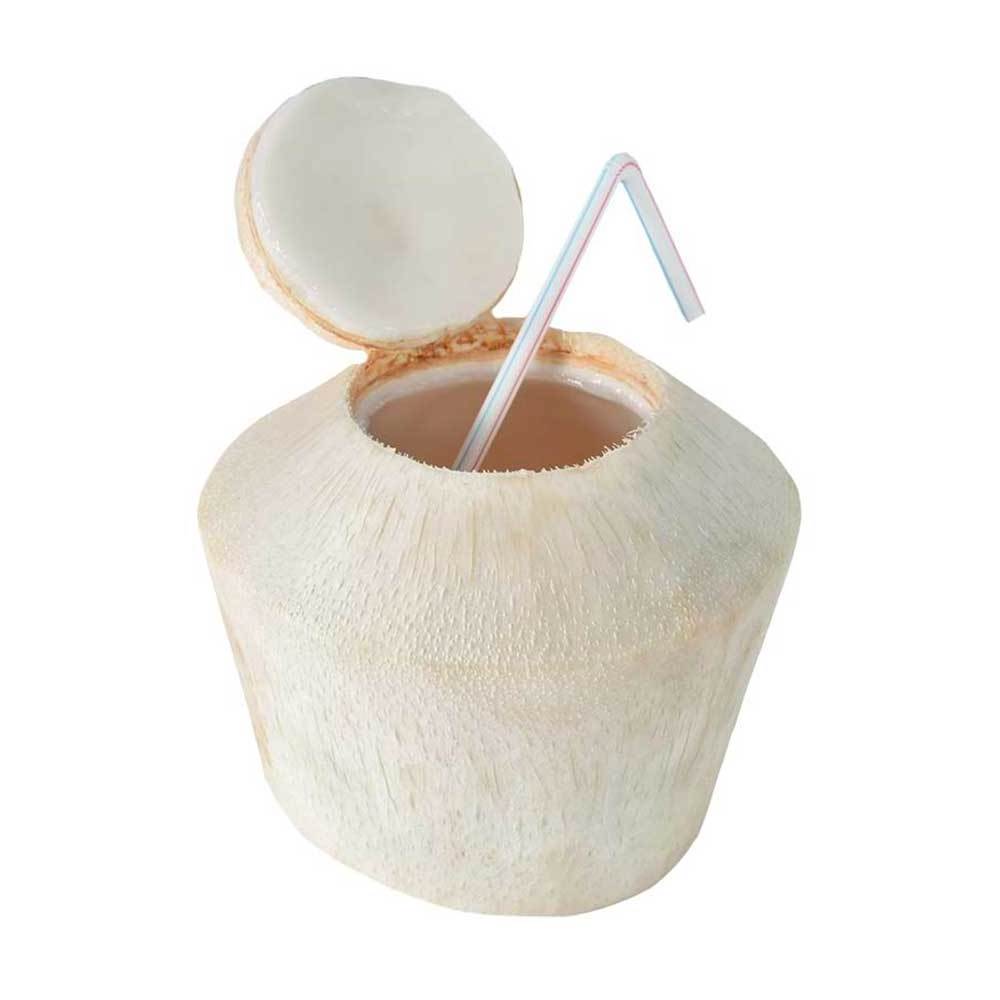 fresh coconut price/frozen coconut water/fresh coconut export in 2020