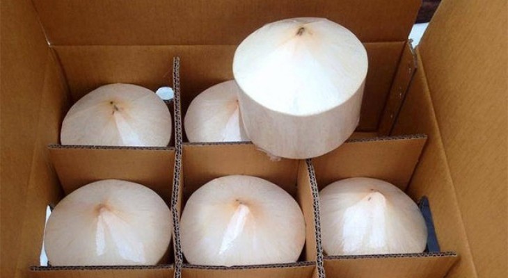 fresh coconut price/frozen coconut water/fresh coconut export in 2020