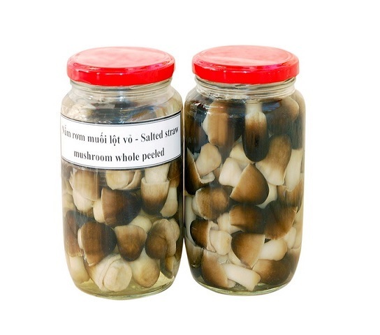 LOW PRICE DRUM STRAW MUSHROOM IN BRINE - Ms. Esther (WhatsApp: +84 963590549)